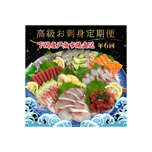 【定期便年6回】 唐戸市場直送 高級お刺身 各2人前 隔月発送 冷凍 真空 鮮魚 EY020-x