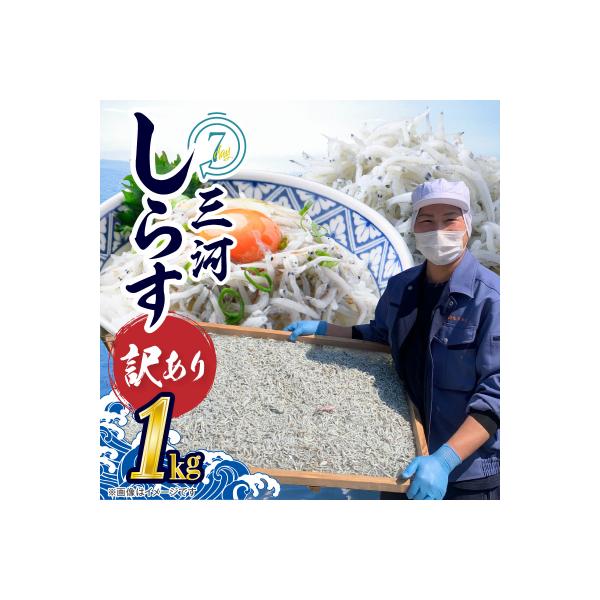 訳あり 小モリ1kg!バラエティ豊富な三河しらす H018-046