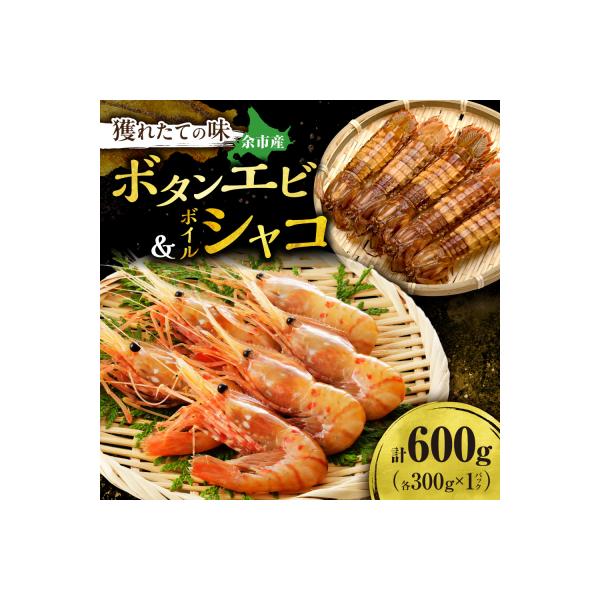 【獲れたての味!】ボタンエビ300g×1・ボイルシャコ300g×1_Y022-0027
