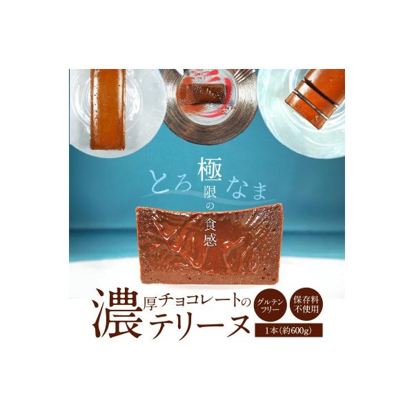 濃厚チョコレートのテリーヌ(約600g)【グルテンフリー・保存料不使用】 H173-008