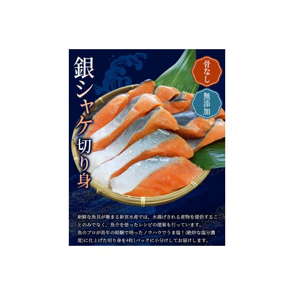 骨なし 無添加 銀シャケ 切身 50g × 12枚 (4枚入り3セット) 【nss508B】