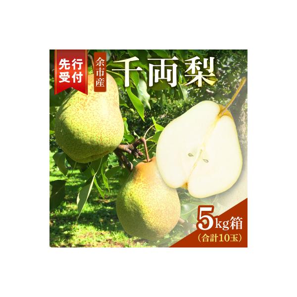 ■お礼品詳細　・内容量：5kg箱(モールドトレイ10玉)Lサイズ（450ｇ〜580ｇ）　・アレルギー：特定原材料7品目および特定原材料に準ずる21品目は使用していません　・発送方法：冷蔵　・消費期限：冷蔵にて保存し、お早めにお召し上がり下さ...