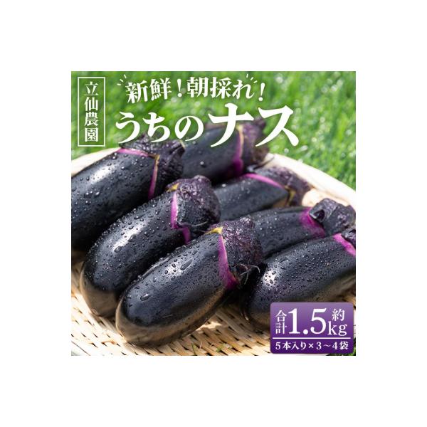 ■お礼品詳細　・容量：■なす:1.5kg(5本入り3〜4袋)　・消費期限：出荷日(発送日)+6日　・配送方法：通常配送 ※発送のお知らせメールはお送りできません。　・配送状況について：マイページの「配送状況」は更新されません。表示は「自治体...