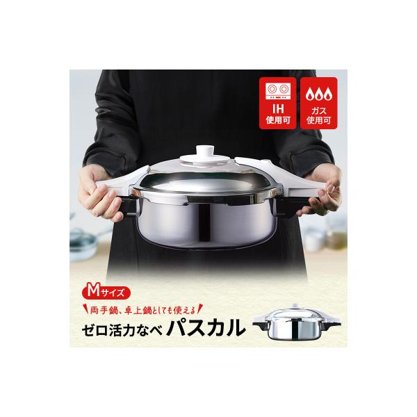 ふるさと納税 加西市 期間限定寄附額 [ ゼロ活力なべパスカル M・3.0L