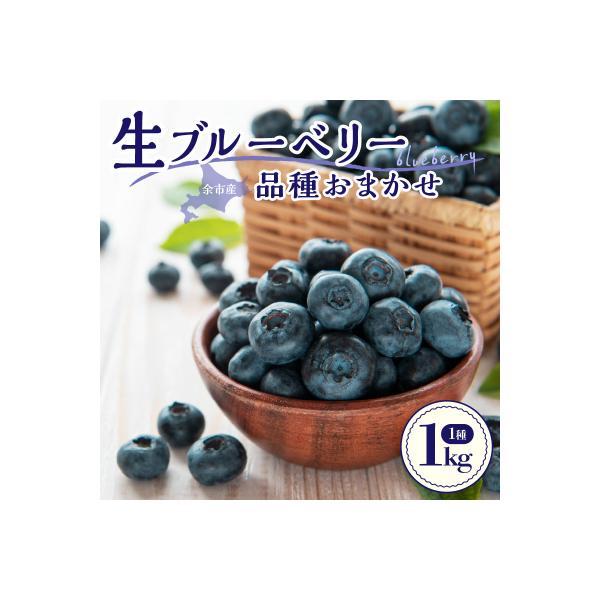【7月中旬頃より発送】青果ブルーベリーおまかせ1種1kg(500g×2パック)_Y111-0010