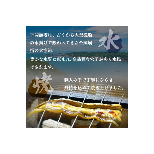 あなごめし 385g × 2個セット HF001