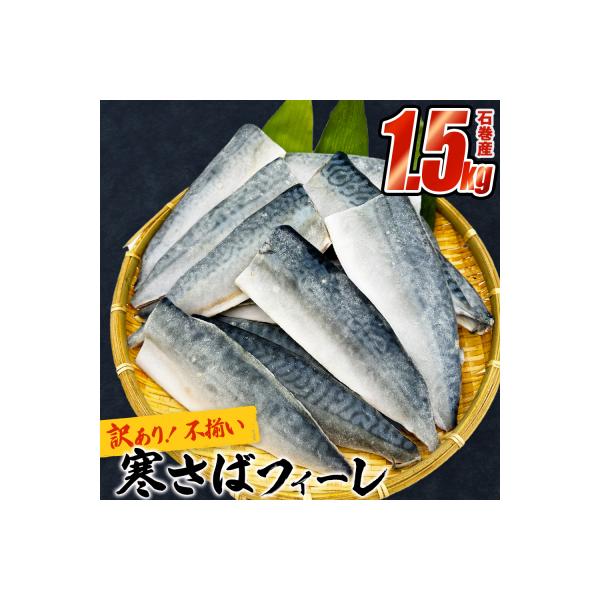 さば 〈 訳あり 〉宮城県産 寒さば フィーレ 無塩 1.5kg 冷凍 魚 青魚 鯖 切身 不揃い