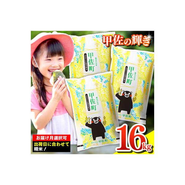 令和7年産『甲佐の輝き』精米16kg【配送指定可】【ZM】