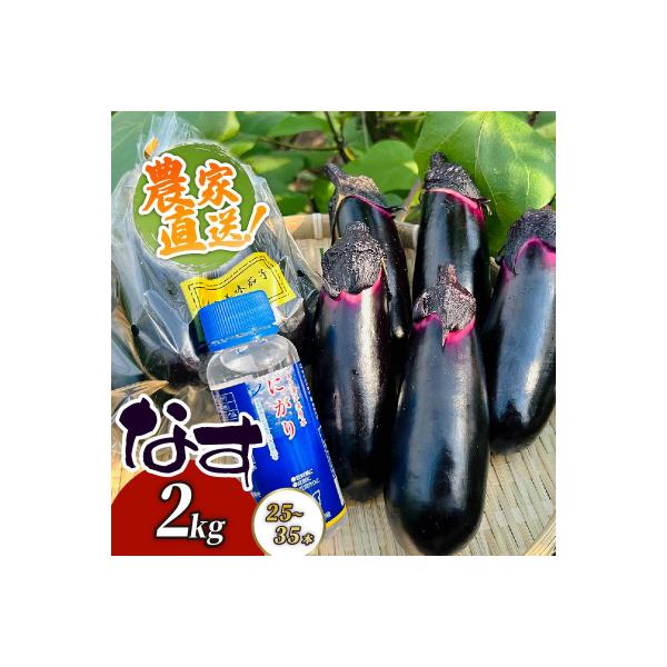 ■お礼品詳細　・提供元：室戸市■お申し込み・配送・その他　・発送時期：※7月〜8月は苗の入れ替え、作付け期間となるため発送ができません。　恐れ入りますが、6月〜8月の間にご寄附いただいた場合、ご入金確認状況により9月下旬から順次発送いたしま...