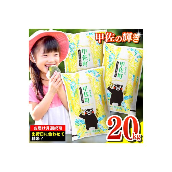 令和7年産【定期便3ヶ月】『甲佐の輝き』精米20kg【配送指定可】【ZK】