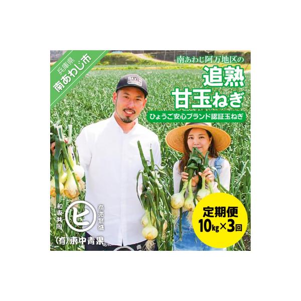 【3ヶ月定期便】「追熟甘玉ねぎ」10kg