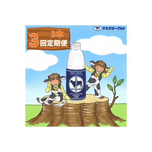 【3ヶ月定期便】 ヤスダヨーグルト 大ボトル 800g×3本セット