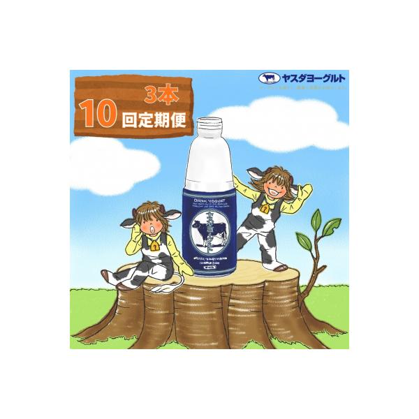 【10ヶ月定期便】 ヤスダヨーグルト 大ボトル 800g×3本セット