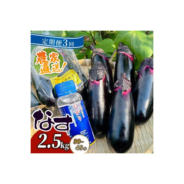 ■お礼品詳細　・提供元：室戸市■お申し込み・配送・その他　・発送時期：※7月〜8月は苗の入れ替え、作付け期間となるため発送ができません。　恐れ入りますが、定期便の発送時期が7月〜8月にさしかかる場合は9月下旬から順次発送いたします。　なお、...