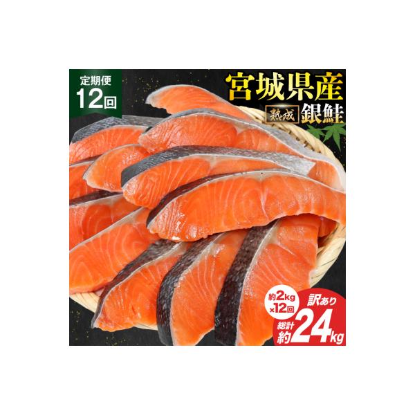 定期便《12ヶ月》 訳あり 宮城県産 銀鮭 切身 約2kg×12回 計24kg [20564498]