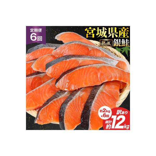 定期便《6ヶ月》 訳あり 宮城県産 銀鮭 切身 約2kg×6回 計12kg [20564499]