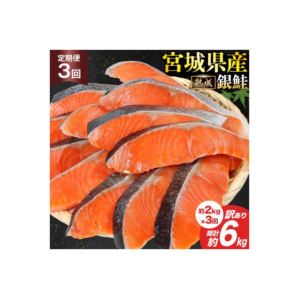 定期便《3ヶ月》 訳あり 宮城県産 銀鮭 切身 約2kg×3回 計6kg [20564500]