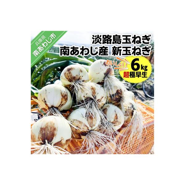 ■お礼品詳細　・提供元：南あわじ市■お申し込み・配送・その他　・発送時期：例年2月以降、順次発送します。※生鮮品のため、到着後は箱から出して保存し、お早めにお召し上がりください。※消費期限経過後に傷み等のご連絡をいただいた場合、返品・交換は...