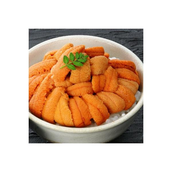 エゾバフンウニ塩水パック50～60g×2P A-81022