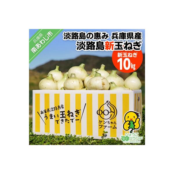【新玉受付!】＼うまい玉ねぎできたでー/ 特別栽培新玉ねぎ10kg　◆配送R9.3月中旬～5月末