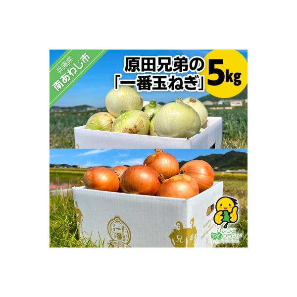 原田兄弟の一番玉ねぎ 5kg