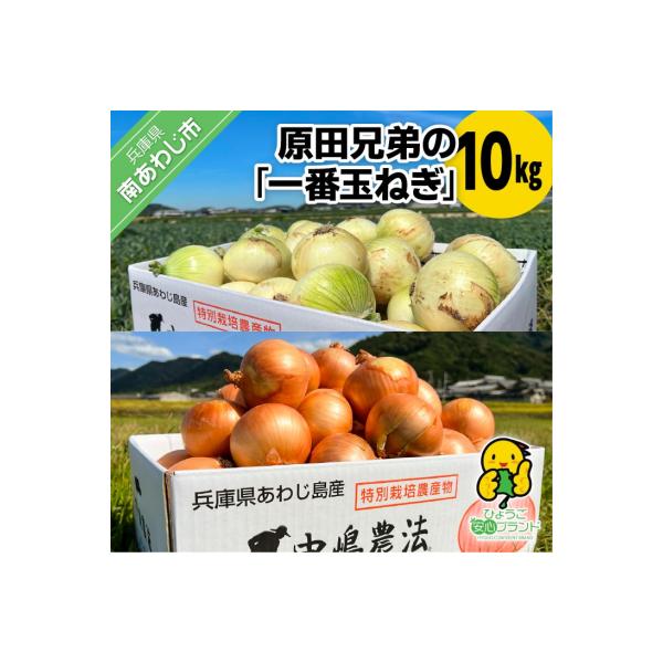 原田兄弟の一番玉ねぎ 10kg