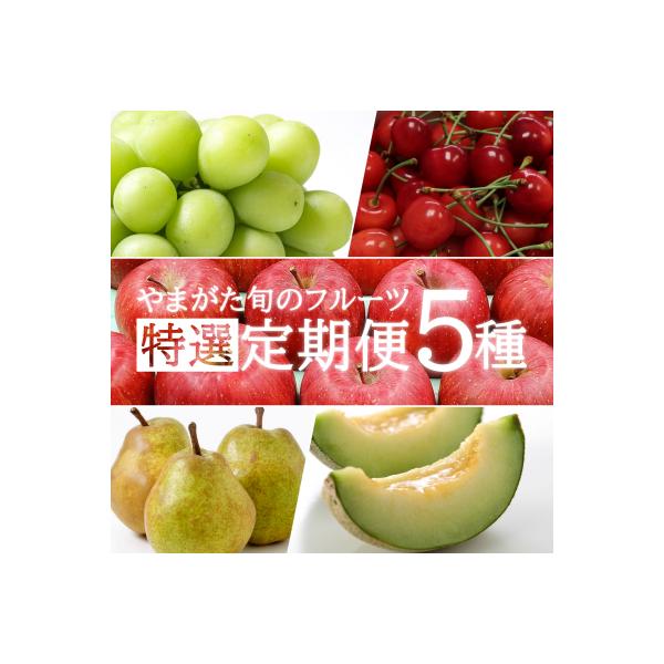 ■お礼品詳細　・アレルギー：りんご　・配送：常温,冷蔵　・協力事業者：長井中央青果　・提供元：長井市■お申し込み・配送・その他　・発送時期：1回目:佐藤錦(6月中旬頃〜6月下旬頃) 2回目:メロン(8月中旬頃〜9月中旬頃) 3回目:シャイン...