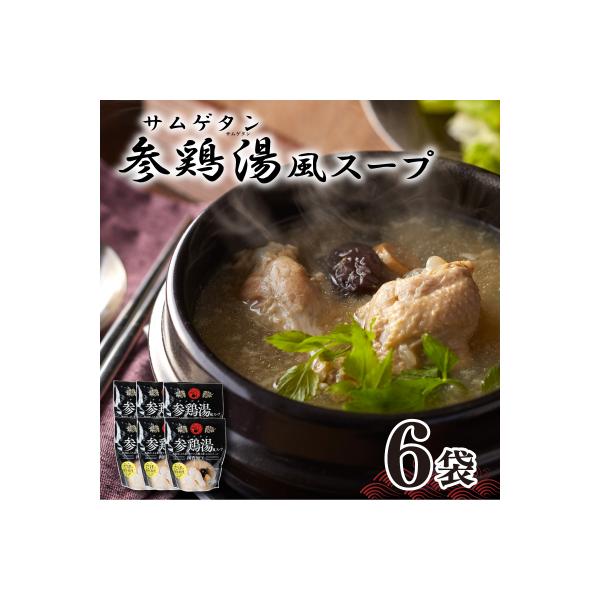 参鶏湯 ( サムゲタン ) 風 スープ 400g×6袋 セット HG001