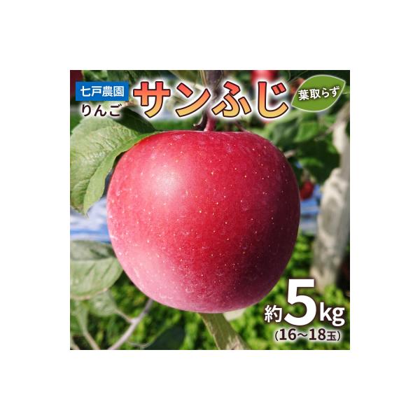 りんご サンふじ 葉取らず 約5kg(16から18玉) 青森産 [0831]