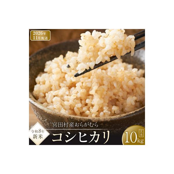 【先行受付】【令和8年米】【新米】長野県宮田村産コシヒカリ/玄米10kg・18,000円/11月配送