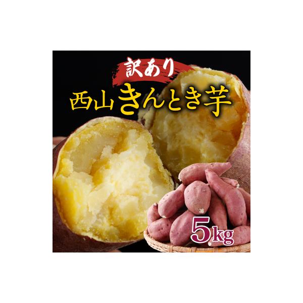 【訳あり】西山きんとき芋5kg　新芋