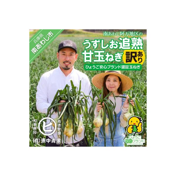 ■お礼品詳細　・提供元：南あわじ市■お申し込み・配送・その他　・発送時期：3月28日〜6月30日寄附分は新玉ねぎ(訳あり)を発送します。※新玉ねぎは、4月上旬から6月下旬にかけて順次発送予定です。※生鮮品のため、到着後は箱から出して保存し、...