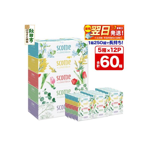 ティッシュ スコッティ フラワーボックス 250組 5箱×12パック|15_nsc-071201