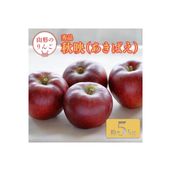 【2026年発送】「秀品」山形のりんご(秋映)約5kg_H162(R8)