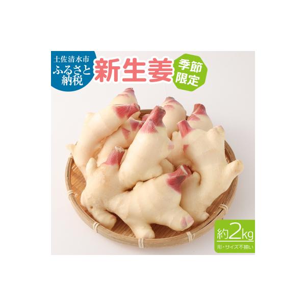 【先行受付】新生姜2kg 季節限定 農家直送 甘酢漬け ガリ しょうが【R01548】