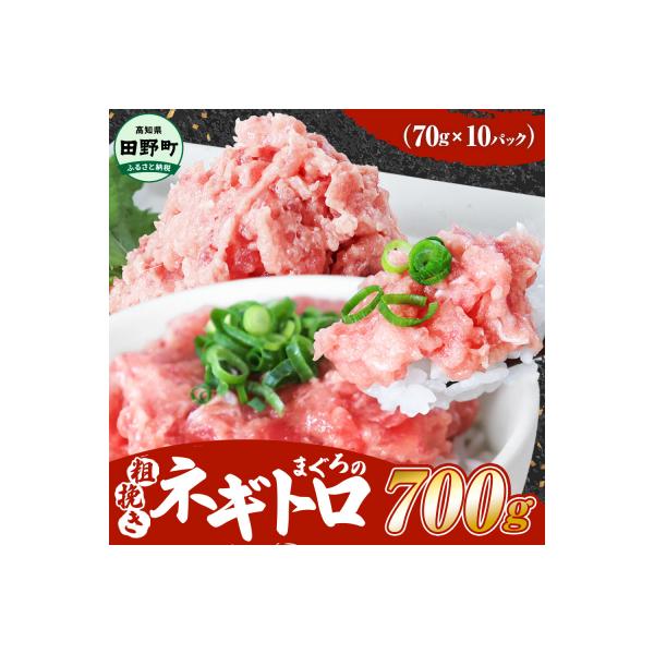 【四国一小さなまち】≪カネアリ水産≫ まぐろのネギトロ　800g(80g×10パック)