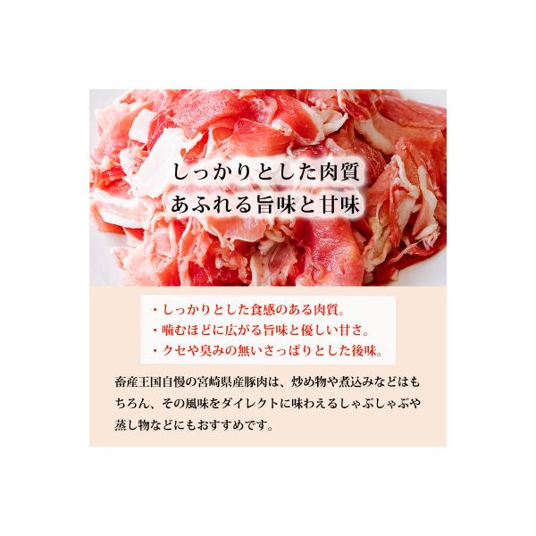 高原育ちの宮崎県産豚肉切り落とし&ミンチ3kg[アレンジ色々万能食材]　TF766