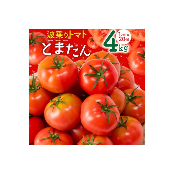 ■お礼品詳細　・配送方法：常温　・事業者名：(株)サンフレッシュ小泉農園　・提供元：気仙沼市■お申し込み・配送・その他　・発送時期：2025年10月後半〜2026年7月前半において順次出荷※申込期日:2026年6月20日(決済確認)※申込が...