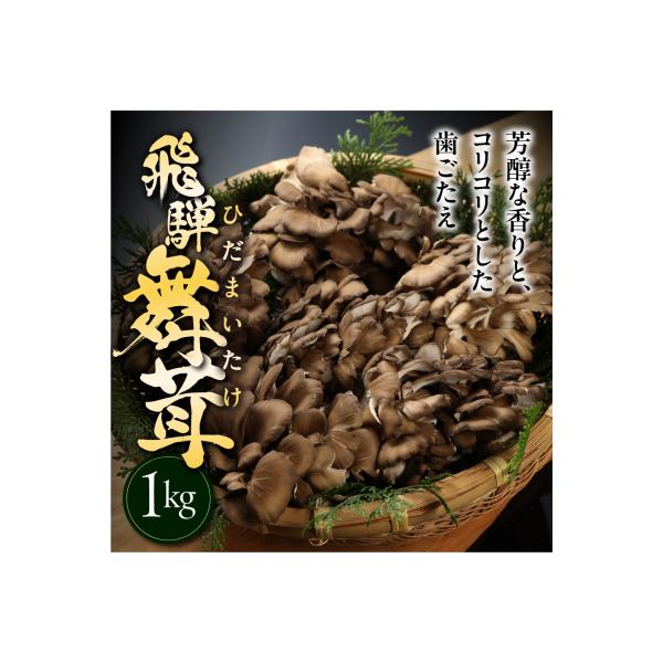 訳あり(簡易包装)飛騨舞茸 1kg マイタケ まいたけ【60-2】