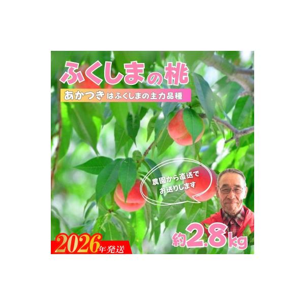 ■お礼品詳細　・事業者：ししどりんご園　・内容量：約2.8kg　・賞味期限：発送日+4日　・配送方法：冷蔵便　・アレルギー：もも　・提供元：福島市■お申し込み・配送・その他　・発送時期：7月下旬から8月上旬発送予定　・申込受付期間：2026...