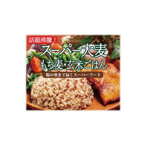 ふるさと納税 山形市 スーパー大麦 もち麦・つや姫 玄米ごはん ふるさと納税 山形市 スーパー大麦 もち麦・つや姫 玄米ごはん