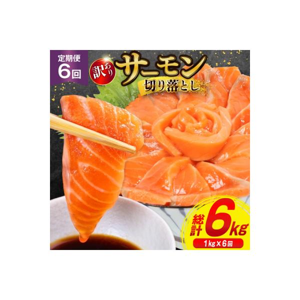 6回 定期便 訳あり サーモン 切り落とし おさしみ用 125gx8p×6回 [20564708]