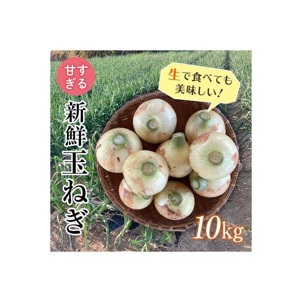 ■お礼品詳細　・内容量：玉ねぎ「早生」「甘七宝」のどちらか 10kg　・配送方法：通常便　・消費期限：出荷日より常温風通しのよい場所で2週間　・事業者：宮下正行　・提供元：富岡市■お申し込み・配送・その他　・発送時期：2026年6月20日〜...