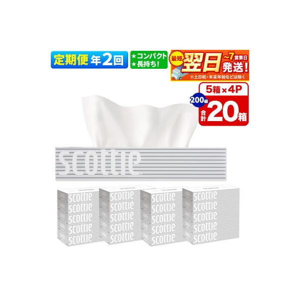 《2回定期便》ティッシュペーパー スコッティ 20箱 5箱×4P|15_nsc-050402