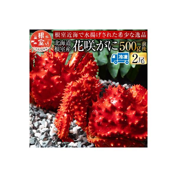 【北海道根室産】花咲がに500g前後×2尾 G-54002