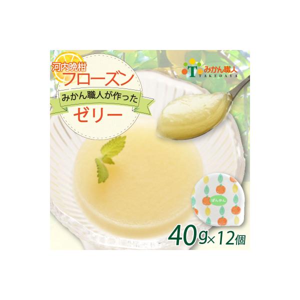 【みかん 職人が作った フローズン ゼリー 】 40g×1種 計12個 河内晩柑 お試し アイス