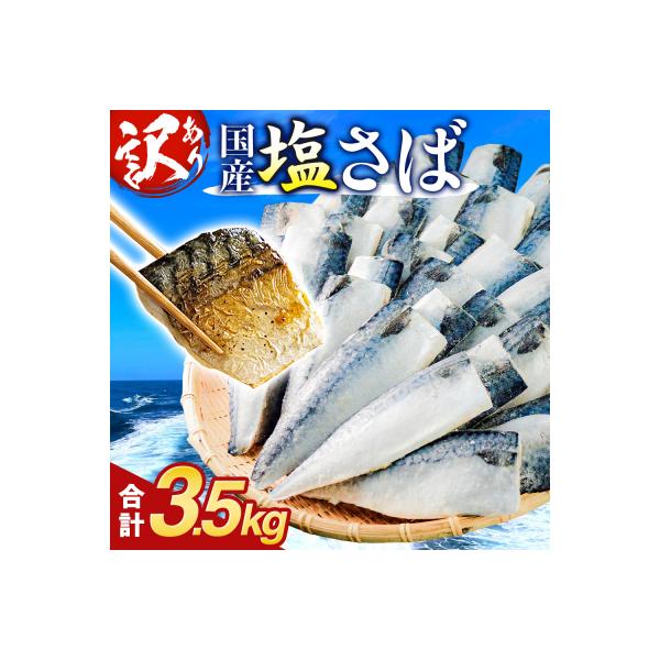 さば 〈 訳あり 〉 国産 塩さば フィーレ 3.5kg 冷凍 切身 フィレ 鯖 不揃い 石巻市