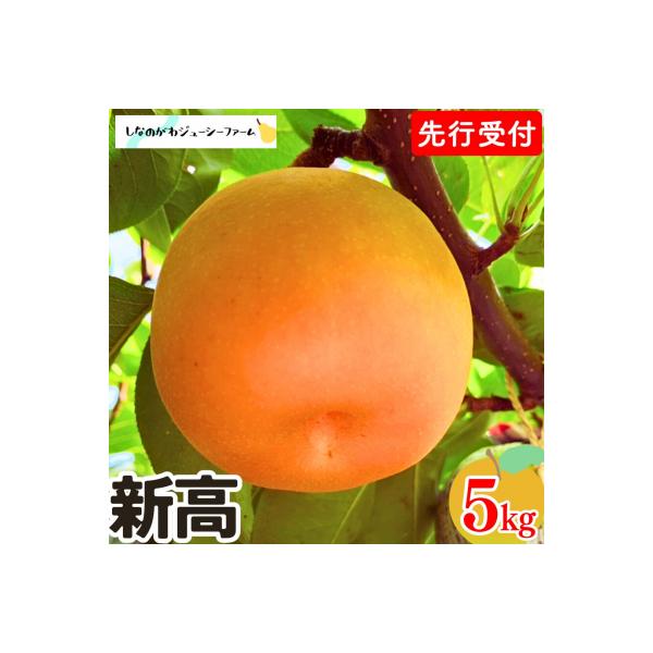 ■お礼品詳細　・事業者：しなのがわジューシーファーム　・地場産品基準：1 三条市内において生産されているため。　・提供元：三条市■お申し込み・配送・その他　・発送時期：10月上旬〜11月上旬頃※天候や生育状況により、発送開始・終了時期が前後...