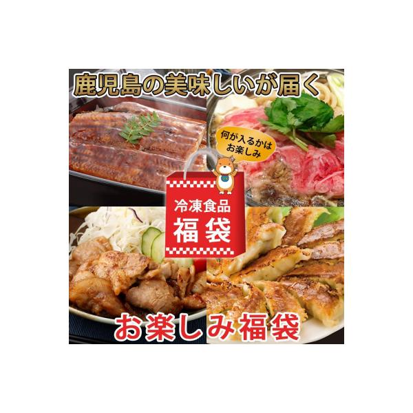 【お楽しみ福袋B】鹿児島の美味しいが届く!5品以上 AS-086