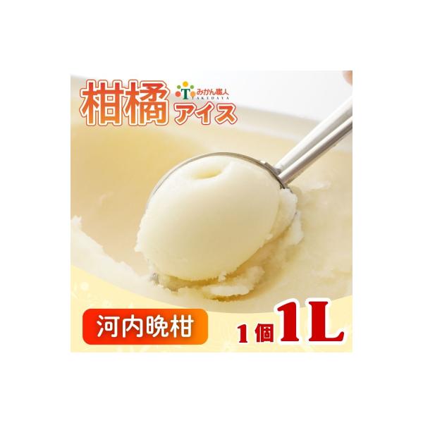 みかん職人が作った柑橘 アイス 河内晩柑 1000ml×1 シャーベット みかん職人武田屋